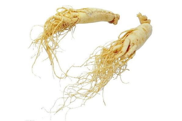 Ginseng root - folk medicine to increase male potency